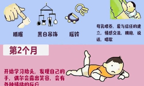 对乙酰氨基酚成分的作用、对乙酰氨基酚的用途 -对乙酰氨基酚主要成分及功能主治网